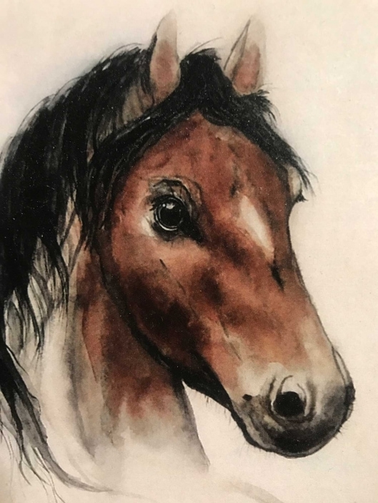 Pferde Bilder von Fotos gemalt | Das Atelier