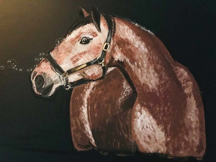 Pferdebilder auf Leinwand | Das Atelier