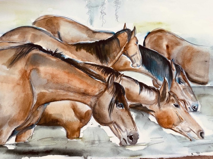 Pferde Bild auf Leinwand | Das Atelier Schwyz